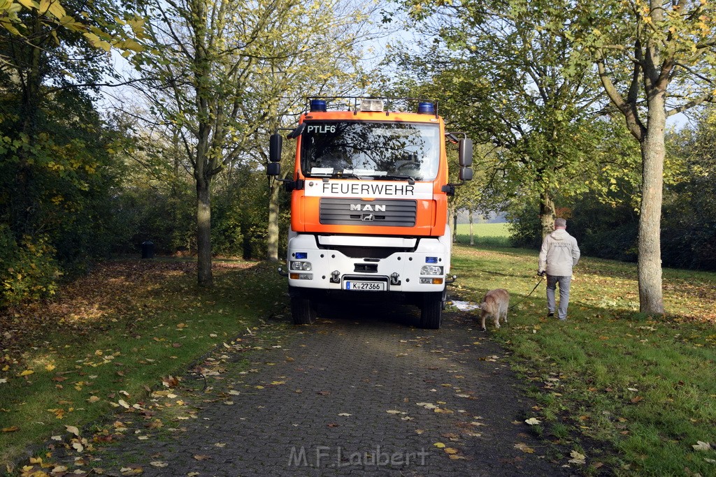 Feuer 1 brannten 3 Lauben Koeln Fuehlingen Kriegerhofstr P138.JPG - Miklos Laubert